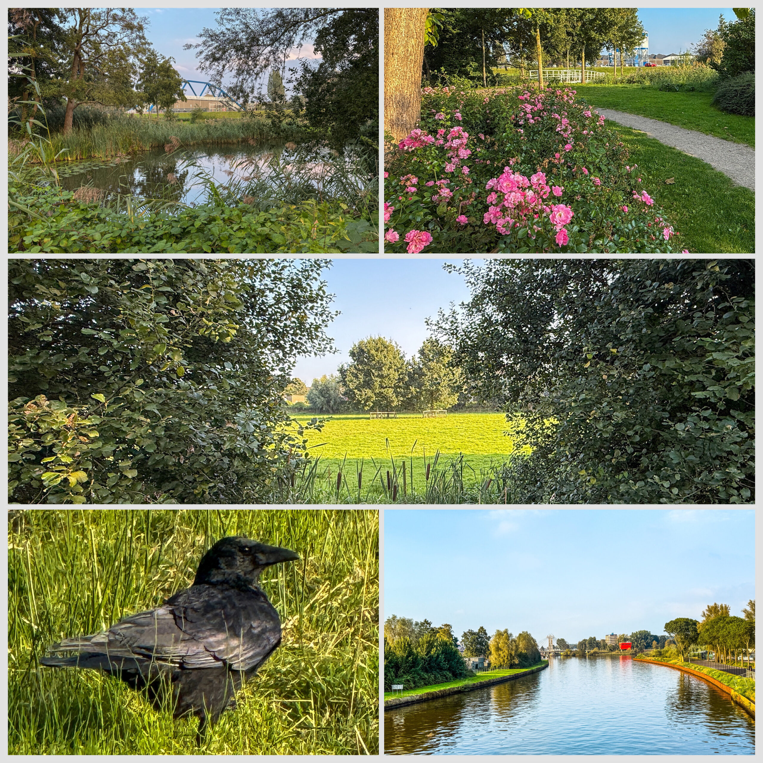 Random pics from october - part 1